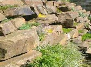 A yorkstone rockery